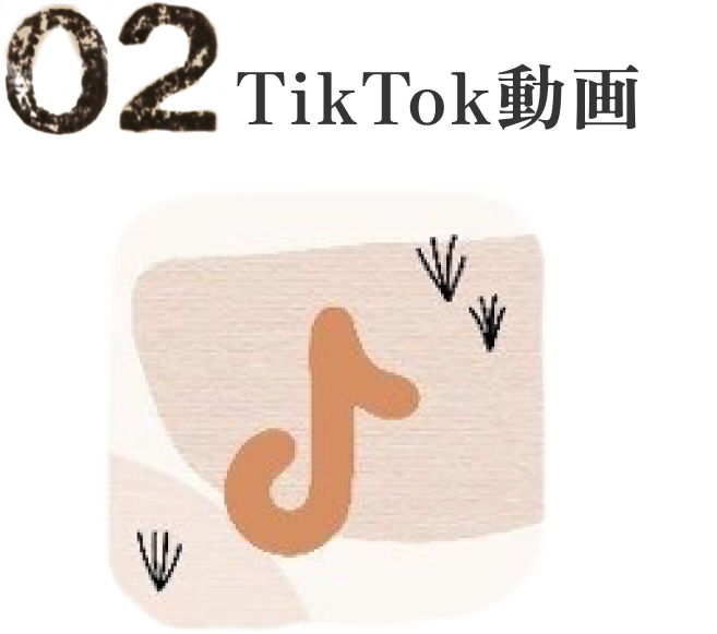 02TikTok動画